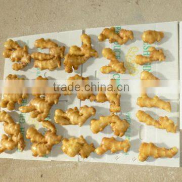 Ginger Manufacture photo-4