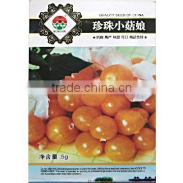 Chinese Physalis Pubescens Seeds Groundcherry Seeds For Growing-Yellow Pearl