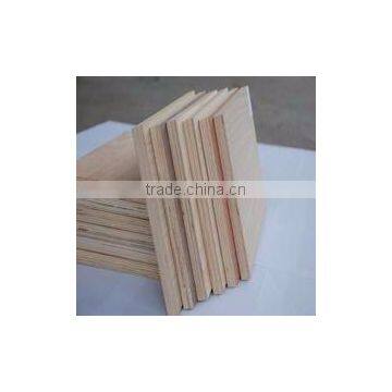 Birch Plywood/film Faced Plywood/ Cheapest Price Film Faced Plywood photo-4