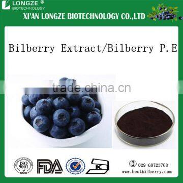 Wild Blueberry Extract/blueberry Anthocyanin