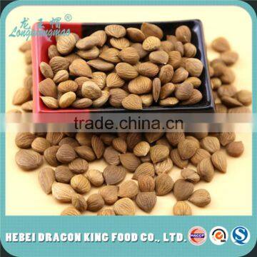 Apricot Kernel Seeds (B17)