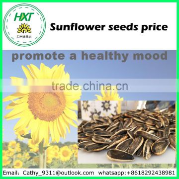 China Nice quality sunflower seed price