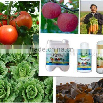 High quality Liquid organic new root growth regulators NPK kelp fertilizer