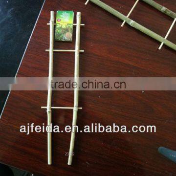 support flower of bamboo trellis