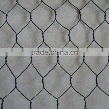 chicken wire mesh/hexagonal wire netting( iso 9001)