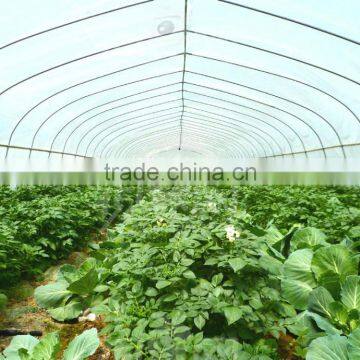 Tunnel Greenhouse photo-5