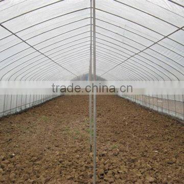 High Quality Tunnel Greenhouse With the Type of Plastic Tunnel photo-5