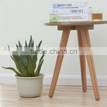 Plastic Round Succulent Plant Pot/Cactus Plant Pot Flower Container photo-4