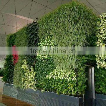 SJ1801298 Resturant Decoration Green Plant Walls photo-4