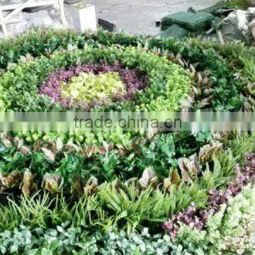EST 6034 Man Made Wall Pieces Artificial Greenery Floor Wall Decoration photo-2
