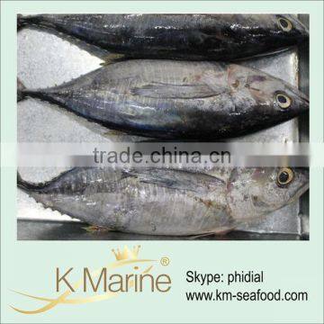 Wholesale Export Supplier of Seafood Fish lot number#kmw4013