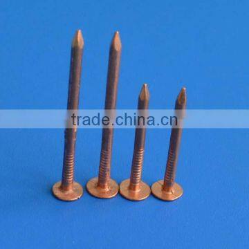 Copper Square Boat Nails photo-3