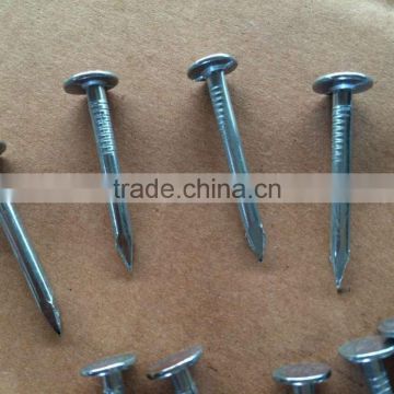 best price galvanized clout roofing nails with big falt head from china factory