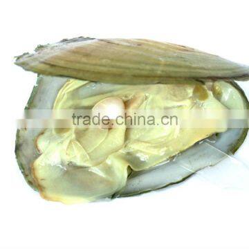 Nature Love Pearl Gift (ocean Pearl (red, Pink, Purple, Blue, Yellow) English and French Version) photo-4