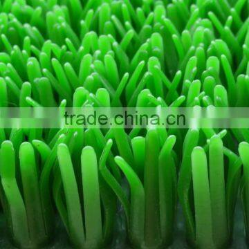 Long Service Life Gold- Rush Grass photo-2