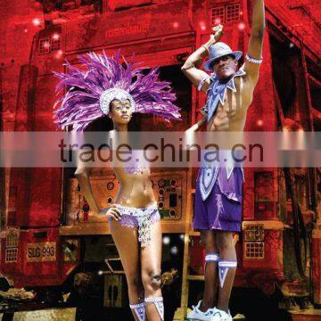 High quality hand made samba costumes belly dance performing outfits carnival wears