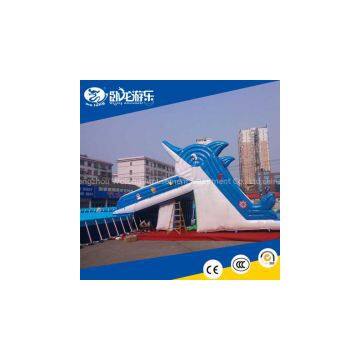 hot selling outdoor inflatable water slide, inflatable slide