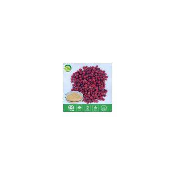 Schisandra extract