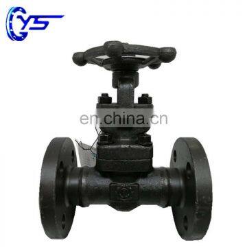 Forged Technical Good Quality 1" 2" 3" DN15 DN20 DN40 stem ductile iron flange type Gate Valve