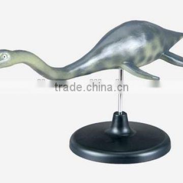 plesiosaur model, plesiosaur anatomical model