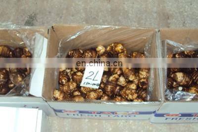 2020 Hot Sale Fresh Vegetable Fresh Taro photo-3