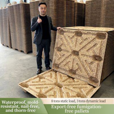 High-Strength, Nail-Free, Splinter-Free Molded Wood Pallets — Specialized for Warehousing and Logistics