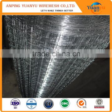 welded wire mesh