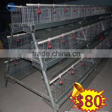 poultry layer farming equipment in india