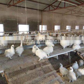Poultry Farms Equipment, Animal Husbandry Equipment, Plastic Floor Beams for Pig Farming Equipment