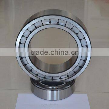 China supplier cylindrical roller bearing with high quality NU1024M