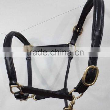 leather halter