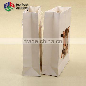 2016 Paper Shopping Bag photo-4