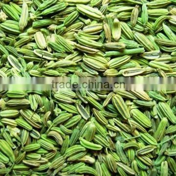 Green Fennel Seeds