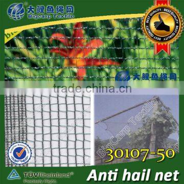 (20 Years Factory,Shanghai) 50grm Vineyard Hail Protection Net photo-2