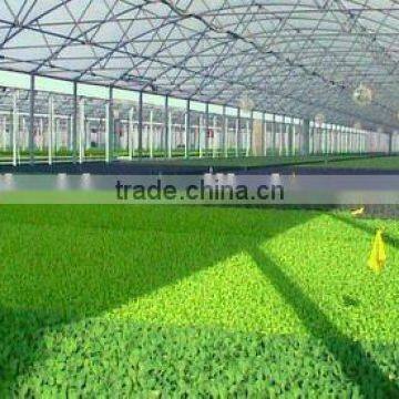 Polycarbonate sheet for greenhouse/pc hollow sheet/Polycarbonate hollow sheet