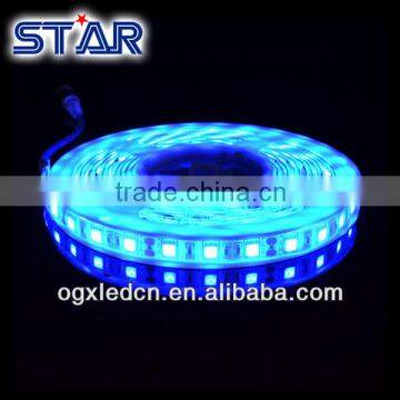 Ruban LED 5050 Blue 60led/m 12V IP65 5meters 72W