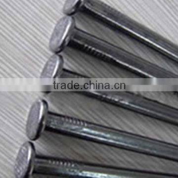 stainless steel common nails