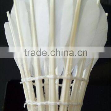 6 Pieces Shuttlecock Feather Badminton Balls White for Training Outdoor Sports