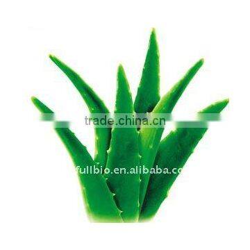 Spray-Dried 100:1 Aloe Vera Extract