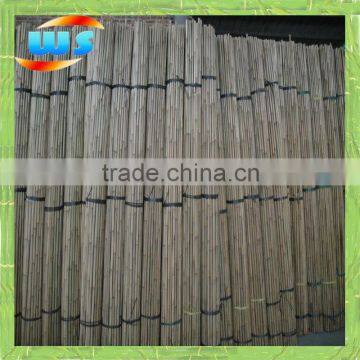 Good fiber density bamboo cane for plant