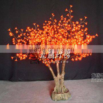 cherry blossom bonsai tree