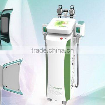 Vertical Cryolipolysis Fat Freezing Cryolipolysis Machine Weight Loss Beauty Spa/ Clinic For Sale Reduce Cellulite photo-3