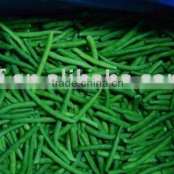 FROZEN GREEN BEANS(766)