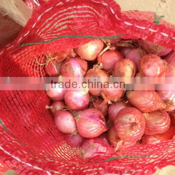 Fresh Red Onion-2013 cold-stored onion