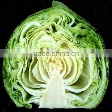 cabbage