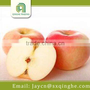 apple fruit, fuji apple fruit export