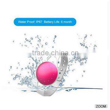2.1 Fashion wristband Pedometer Sleep monitor/Pedometers