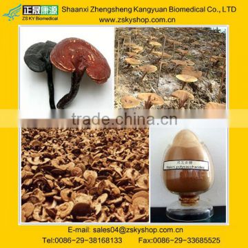 Pure red reishi mushroom extract / Polysaccharides 10-50% UV / Promote cardiovascular health