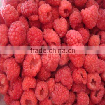 New Crop frozen raspberry