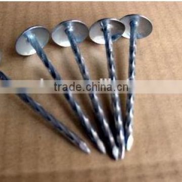 COMMON IRON NAILS FROM CHINA